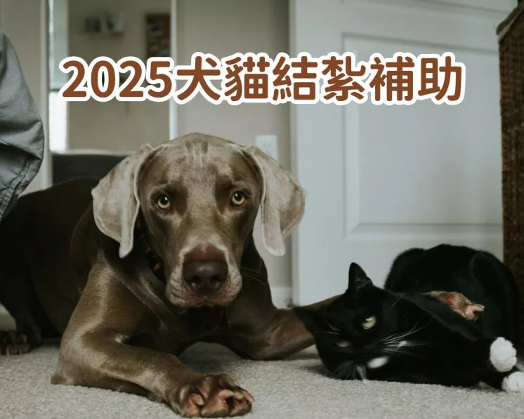 2025犬貓結紮補助
