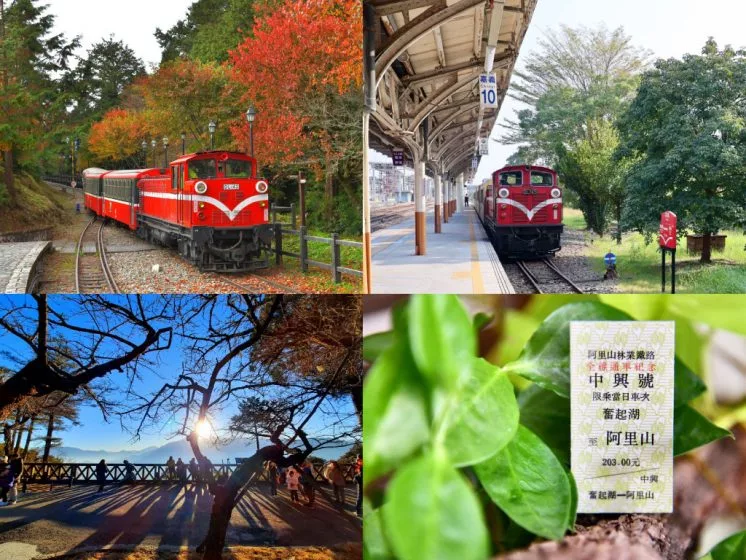 嘉義阿里山小火車